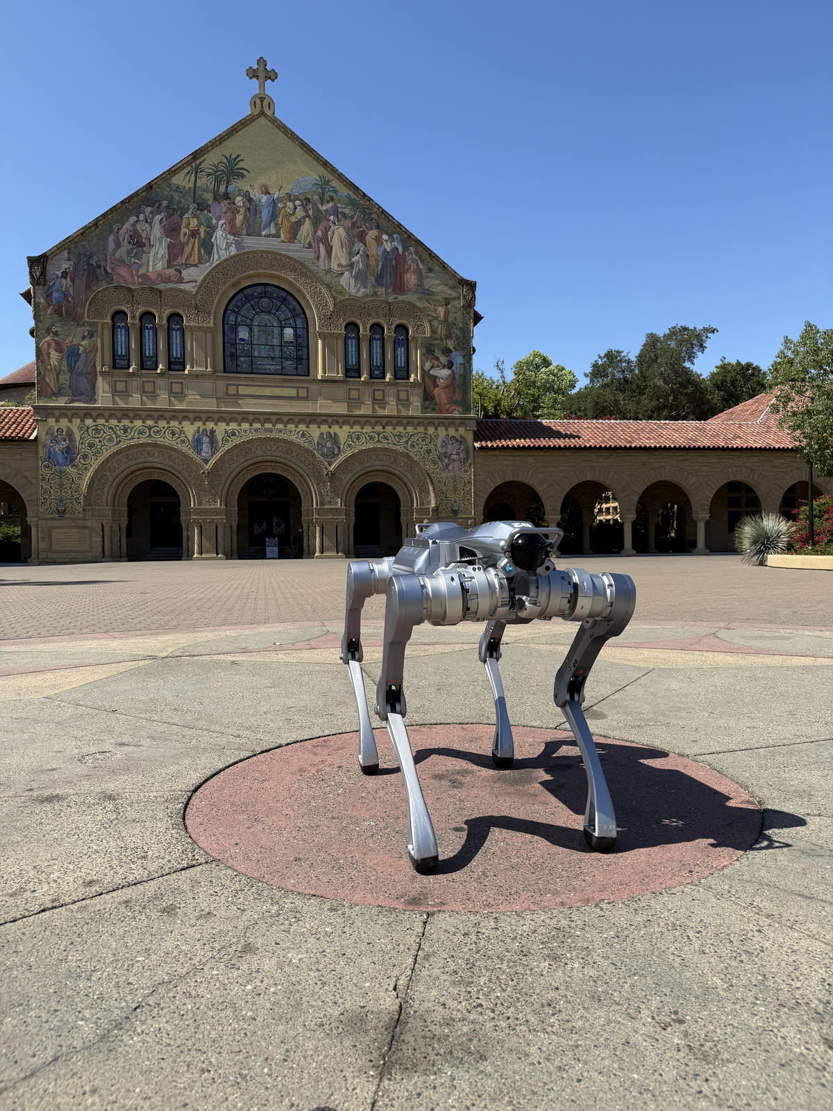 Unitree Go2 Quadruped